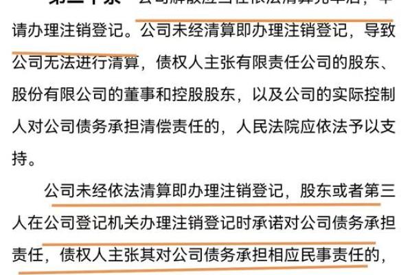 公司命名的法律限制与最佳实践详解