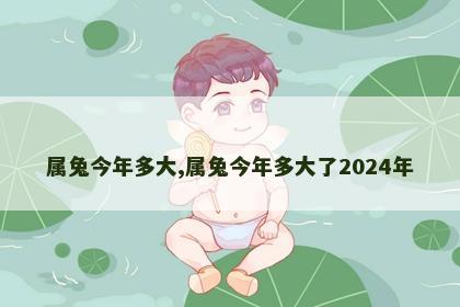 属兔今年多大,属兔今年多大了2024年