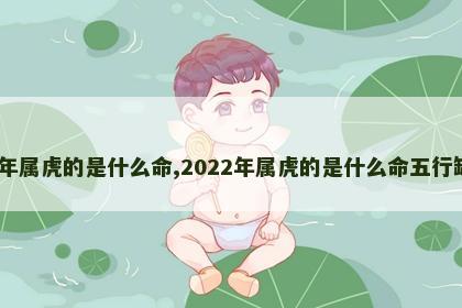 2022年属虎的是什么命,2022年属虎的是什么命五行缺什么