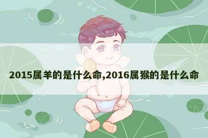 2015属羊的是什么命,2016属猴的是什么命