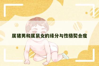 属猪男和属鼠女的缘分与性格契合度