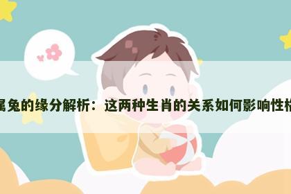 属龙与属兔的缘分解析：这两种生肖的关系如何影响性格与命运