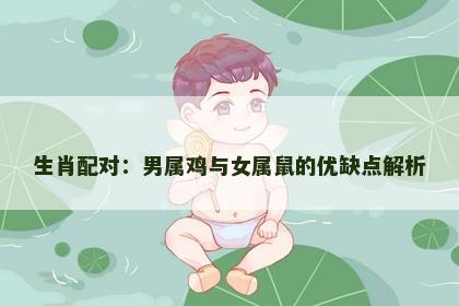 生肖配对：男属鸡与女属鼠的优缺点解析