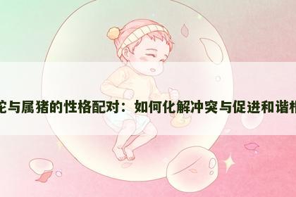 属蛇与属猪的性格配对：如何化解冲突与促进和谐相处