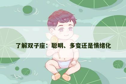 了解双子座：聪明、多变还是情绪化