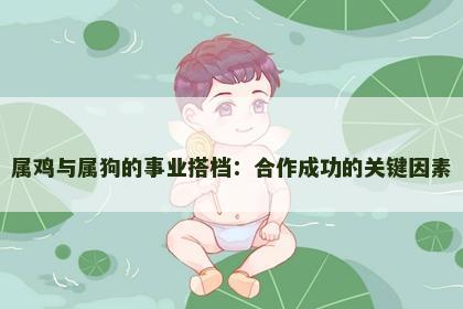 属鸡与属狗的事业搭档：合作成功的关键因素