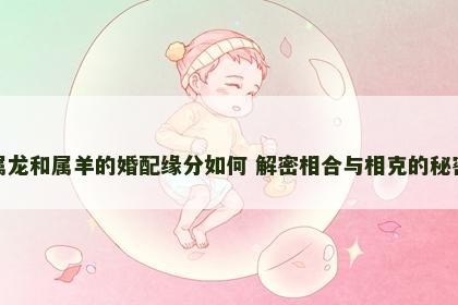 属龙和属羊的婚配缘分如何 解密相合与相克的秘密