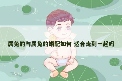 属兔的与属兔的婚配如何 适合走到一起吗